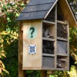 Die NATUR-Rätselspur – Eröffnungsveranstaltung